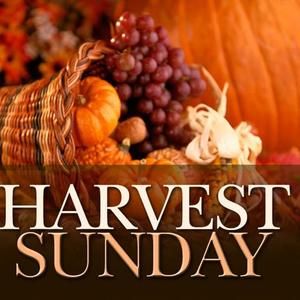 Meet your Posher, Bobby